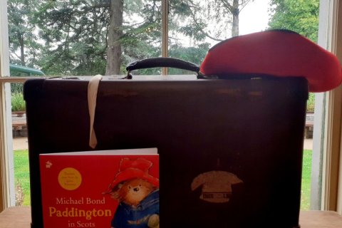 Image of Paddington's Suitcase